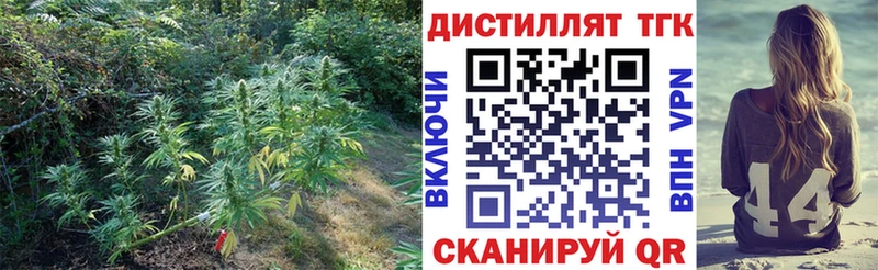 Купить закладки  Себеж  Дистиллят ТГК Wax 